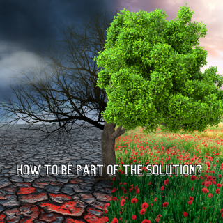 Image of tree half healthy in fertile ground, half dead in cracked earth.  Text - How to be part of the solution