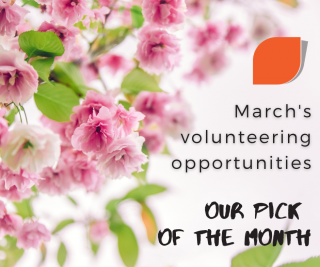 our March pick of the month volunteering opportunities - image of coffee cup and Hello January caption