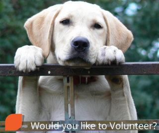 Wood Green The Animals Charity - Would you like to Volunteer?