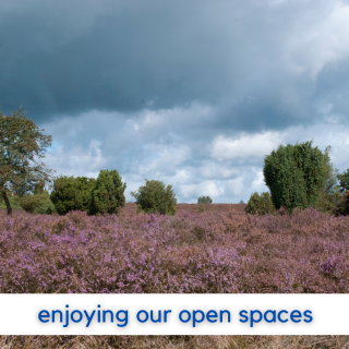 heathland image and text - enjoying our open spaces