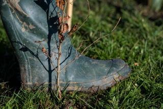 CPRE Hedgerow Hero