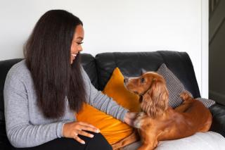 Dogs Trust Freedom Volunteer Foster Carer